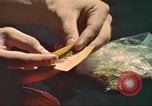 Standbild illegale Droge Marihuana San Diego California USA, 1975, aus Sekunde 8 historischem Filmmaterial Videoclip 65675064376