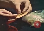 Standbild illegale Droge Marihuana San Diego California USA, 1975, aus Sekunde 10 historischem Filmmaterial Videoclip 65675064376