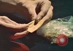 Standbild illegale Droge Marihuana San Diego California USA, 1975, aus Sekunde 11 historischem Filmmaterial Videoclip 65675064376