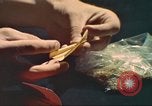 Standbild illegale Droge Marihuana San Diego California USA, 1975, aus Sekunde 14 historischem Filmmaterial Videoclip 65675064376