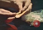 Standbild illegale Droge Marihuana San Diego California USA, 1975, aus Sekunde 15 historischem Filmmaterial Videoclip 65675064376