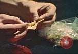 Standbild illegale Droge Marihuana San Diego California USA, 1975, aus Sekunde 16 historischem Filmmaterial Videoclip 65675064376