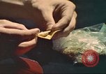 Standbild illegale Droge Marihuana San Diego California USA, 1975, aus Sekunde 17 historischem Filmmaterial Videoclip 65675064376