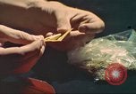Standbild illegale Droge Marihuana San Diego California USA, 1975, aus Sekunde 19 historischem Filmmaterial Videoclip 65675064376