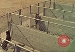 Standbild Marihuana Erkennung Hunde San Diego California USA, 1975, aus Sekunde 3 historischem Filmmaterial Videoclip 65675064377