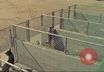 Standbild Marihuana Erkennung Hunde San Diego California USA, 1975, aus Sekunde 5 historischem Filmmaterial Videoclip 65675064377