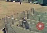 Standbild Marihuana Erkennung Hunde San Diego California USA, 1975, aus Sekunde 6 historischem Filmmaterial Videoclip 65675064377
