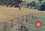 Standbild Marihuana Erkennung Hunde San Diego California USA, 1975, aus Sekunde 7 historischem Filmmaterial Videoclip 65675064377
