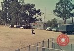 Standbild Marihuana Erkennung Hunde San Diego California USA, 1975, aus Sekunde 9 historischem Filmmaterial Videoclip 65675064377
