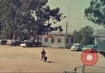 Standbild Marihuana Erkennung Hunde San Diego California USA, 1975, aus Sekunde 11 historischem Filmmaterial Videoclip 65675064377