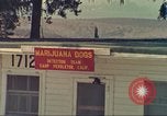 Standbild Marihuana Erkennung Hunde San Diego California USA, 1975, aus Sekunde 15 historischem Filmmaterial Videoclip 65675064377