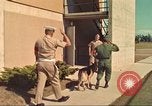 Standbild Marihuana Erkennung Hunde San Diego California USA, 1975, aus Sekunde 47 historischem Filmmaterial Videoclip 65675064377