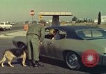 Image la détection de la marijuana chien San Diego California USA, 1975, de la seconde 23 séquences d'archives historiques vidéo 65675064378