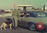 Image la détection de la marijuana chien San Diego California USA, 1975, de la seconde 24 séquences d'archives historiques vidéo 65675064378