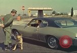 Image la détection de la marijuana chien San Diego California USA, 1975, de la seconde 28 séquences d'archives historiques vidéo 65675064378