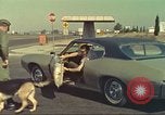 Image la détection de la marijuana chien San Diego California USA, 1975, de la seconde 29 séquences d'archives historiques vidéo 65675064378