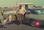Image la détection de la marijuana chien San Diego California USA, 1975, de la seconde 31 séquences d'archives historiques vidéo 65675064378