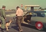 Image la détection de la marijuana chien San Diego California USA, 1975, de la seconde 41 séquences d'archives historiques vidéo 65675064378