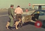 Image la détection de la marijuana chien San Diego California USA, 1975, de la seconde 42 séquences d'archives historiques vidéo 65675064378