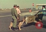 Image la détection de la marijuana chien San Diego California USA, 1975, de la seconde 43 séquences d'archives historiques vidéo 65675064378