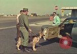 Image la détection de la marijuana chien San Diego California USA, 1975, de la seconde 44 séquences d'archives historiques vidéo 65675064378
