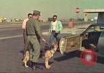 Image la détection de la marijuana chien San Diego California USA, 1975, de la seconde 45 séquences d'archives historiques vidéo 65675064378
