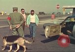 Image la détection de la marijuana chien San Diego California USA, 1975, de la seconde 47 séquences d'archives historiques vidéo 65675064378