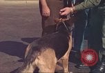 Image la détection de la marijuana chien San Diego California USA, 1975, de la seconde 49 séquences d'archives historiques vidéo 65675064378