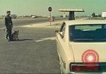 Image la détection de la marijuana chien San Diego California USA, 1975, de la seconde 3 séquences d'archives historiques vidéo 65675064379