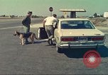 Image la détection de la marijuana chien San Diego California USA, 1975, de la seconde 14 séquences d'archives historiques vidéo 65675064379