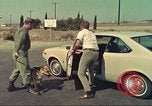 Image la détection de la marijuana chien San Diego California USA, 1975, de la seconde 23 séquences d'archives historiques vidéo 65675064379