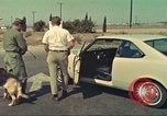 Image la détection de la marijuana chien San Diego California USA, 1975, de la seconde 25 séquences d'archives historiques vidéo 65675064379