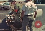Image la détection de la marijuana chien San Diego California USA, 1975, de la seconde 33 séquences d'archives historiques vidéo 65675064379