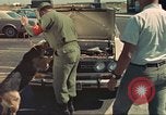 Image la détection de la marijuana chien San Diego California USA, 1975, de la seconde 36 séquences d'archives historiques vidéo 65675064379