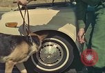 Image la détection de la marijuana chien San Diego California USA, 1975, de la seconde 45 séquences d'archives historiques vidéo 65675064379