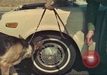 Image la détection de la marijuana chien San Diego California USA, 1975, de la seconde 46 séquences d'archives historiques vidéo 65675064379