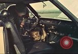 Image la détection de la marijuana chien San Diego California USA, 1975, de la seconde 51 séquences d'archives historiques vidéo 65675064379