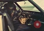 Image la détection de la marijuana chien San Diego California USA, 1975, de la seconde 52 séquences d'archives historiques vidéo 65675064379