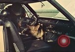 Image la détection de la marijuana chien San Diego California USA, 1975, de la seconde 55 séquences d'archives historiques vidéo 65675064379