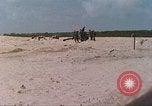 Image United States Marine Corps California United States USA, 1966, de la seconde 41 séquences d'archives historiques vidéo 65675064381
