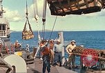 Image United States Marine Corps Sud Asie de l'Est, 1966, de la seconde 15 séquences d'archives historiques vidéo 65675064382