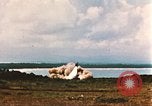 Image of United States Marine Corps United States USA, 1967, second 20 stock footage video 65675064391