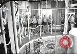 Image of Marines undergo underwater training Connecticut United States USA, 1958, second 14 stock footage video 65675064400