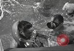 Image of Marines undergo underwater training Connecticut United States USA, 1958, second 26 stock footage video 65675064400