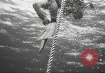 Image of Marines undergo underwater training Connecticut United States USA, 1958, second 58 stock footage video 65675064400