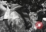 Image of United States Marine Corps training United States USA, 1958, second 11 stock footage video 65675064401