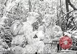 Image of United States Marine Corps training United States USA, 1958, second 16 stock footage video 65675064401