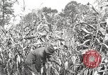 Image of Fordson Tractors United States USA, 1924, second 5 stock footage video 65675064402