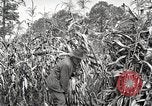 Image of Fordson Tractors United States USA, 1924, second 8 stock footage video 65675064402