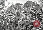 Image of Fordson Tractors United States USA, 1924, second 9 stock footage video 65675064402